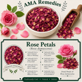 Rose Petals (Rosa damascena)