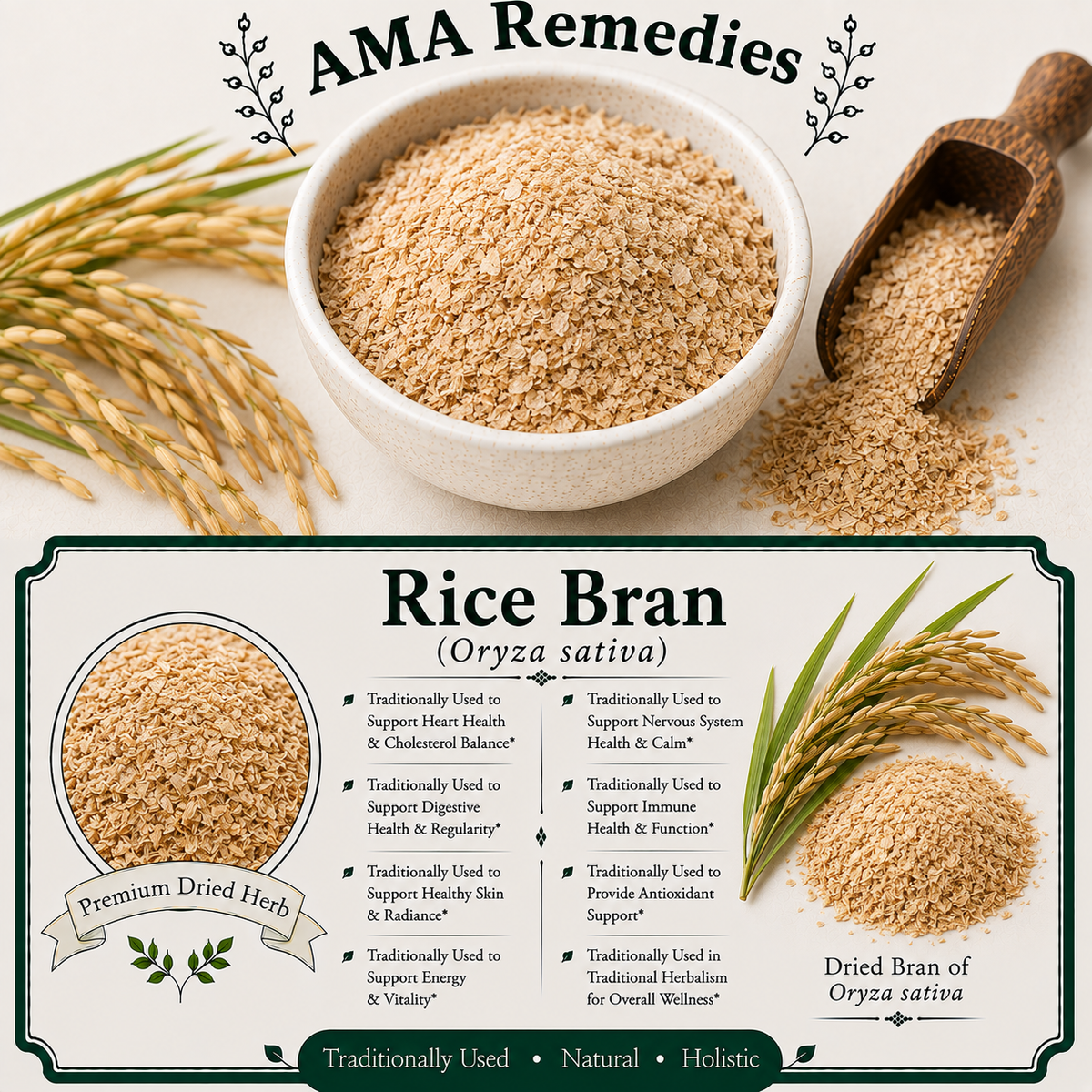 Rice Bran (Oryza sativa)
