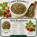 Red Raspberry (Rubus idaeus)