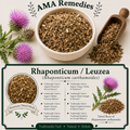 Rhaponticum / Leuzea (Rhaponticum carthamoides)