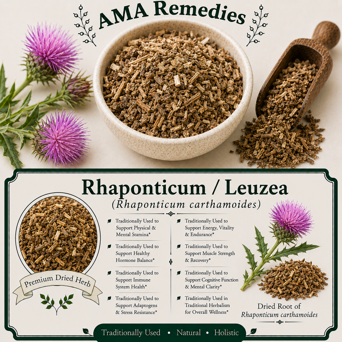 Rhaponticum / Leuzea (Rhaponticum carthamoides)