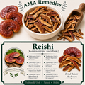 Reishi (Ganoderma lucidum) — Dried Mushroom