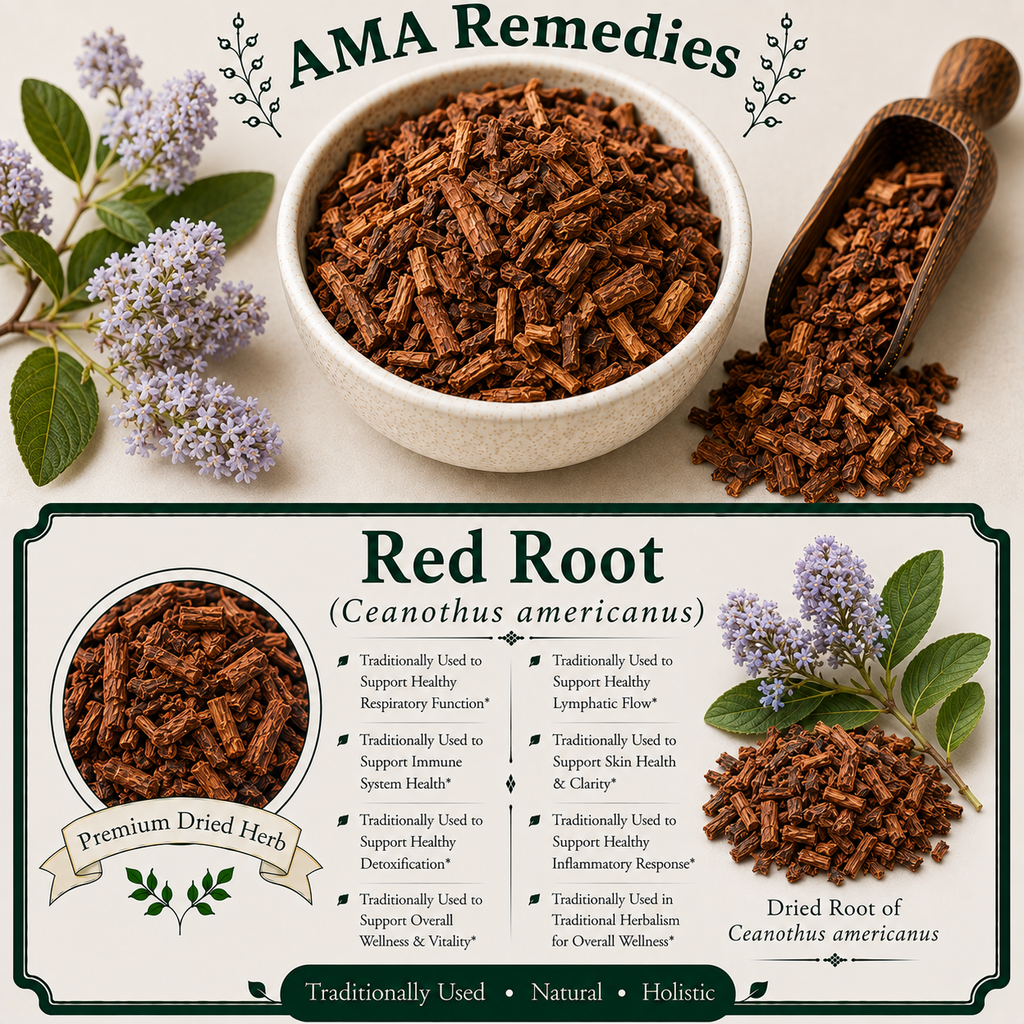 Red Root (Ceanothus americanus)