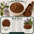 Red Root (Ceanothus americanus)