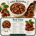 Red Date (Ziziphus jujuba)