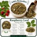 Raspberry Leaf (Rubus idaeus)