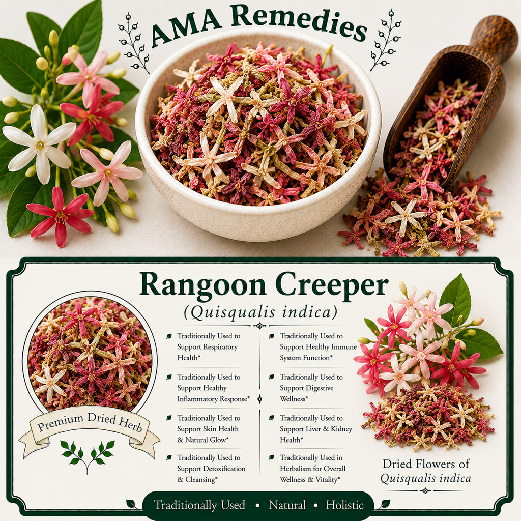 Rangoon Creeper (Quisqualis indica) — Dried Fruit