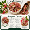 Rangoon Creeper (Quisqualis indica) — Dried Fruit