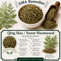Qing Hao / Sweet Wormwood (Artemisia annua) — Dried Herb