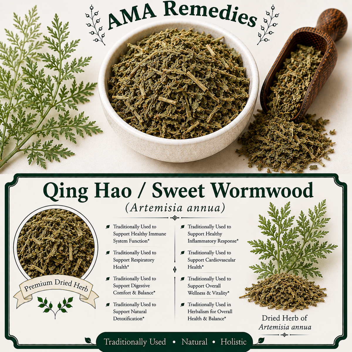 Qing Hao / Sweet Wormwood (Artemisia annua) — Dried Herb