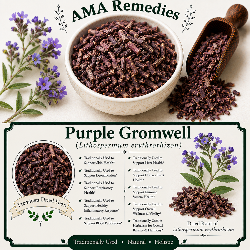 Purple Gromwell (Lithospermum erythrorhizon)
