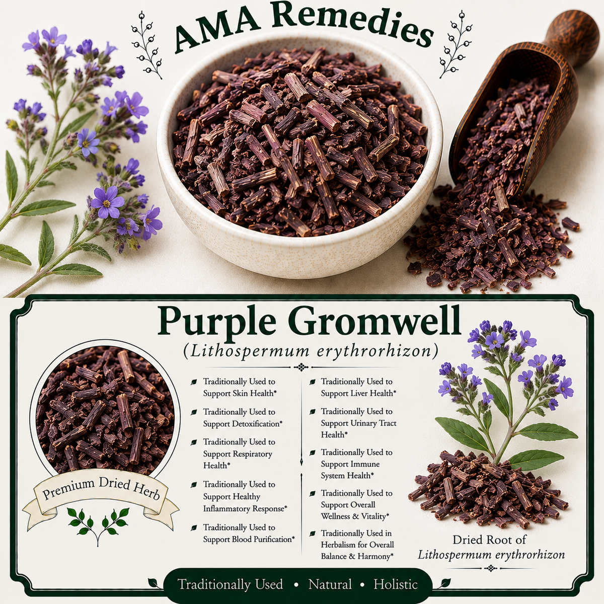 Purple Gromwell (Lithospermum erythrorhizon)