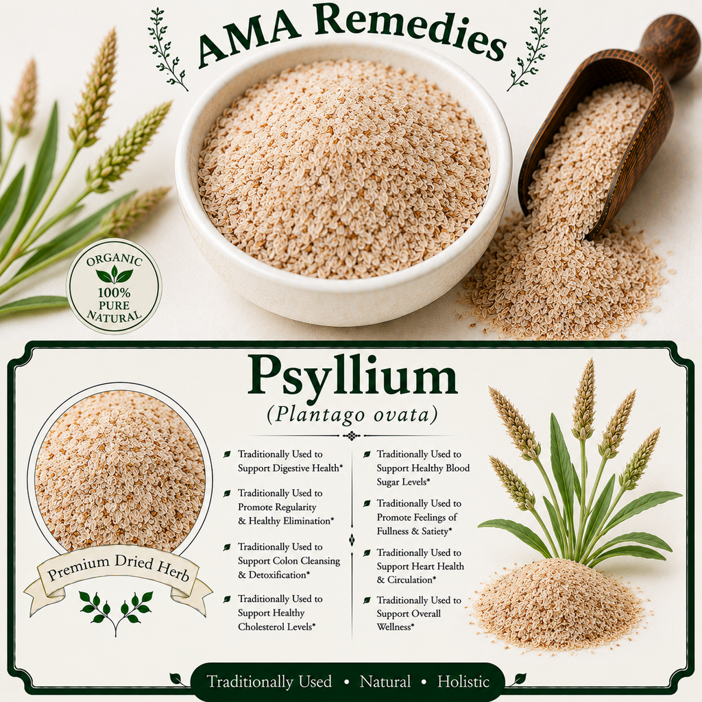 Psyllium (Plantago ovata) — Dried Seed Husks