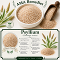 Psyllium (Plantago ovata) — Dried Seed Husks