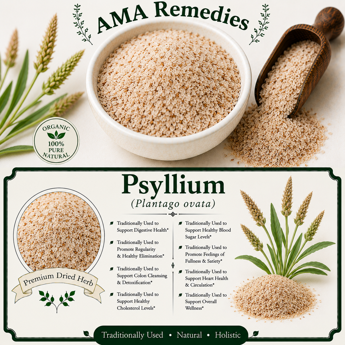 Psyllium (Plantago ovata) — Dried Seed Husks