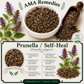 Prunella / Self-Heal (Prunella vulgaris)