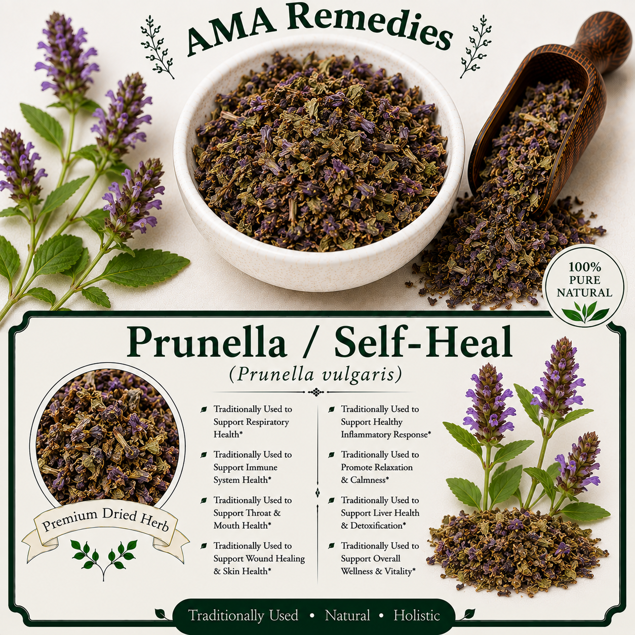 Prunella / Self-Heal (Prunella vulgaris)