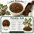 Prickly Ash (Zanthoxylum americanum)