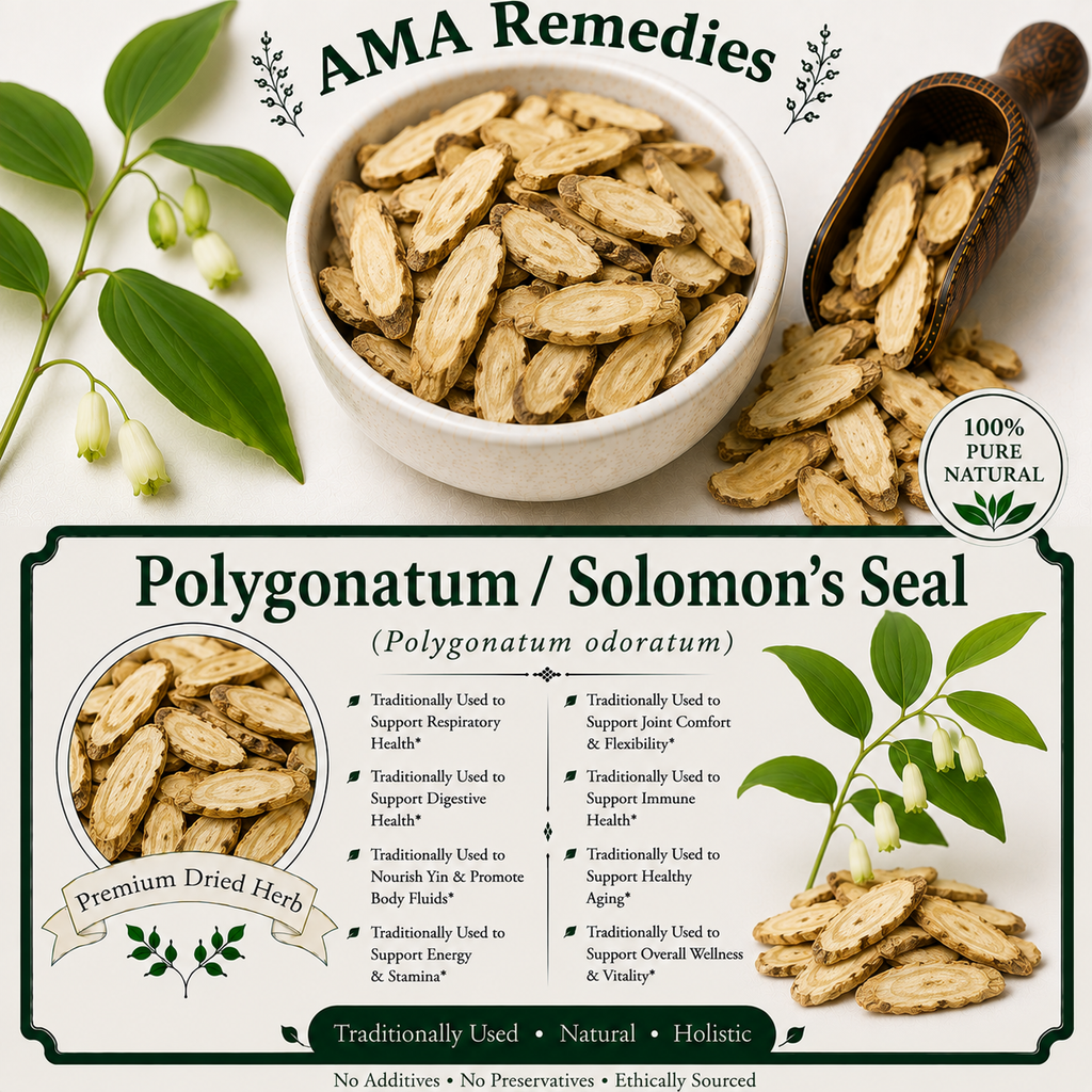 Polygonatum / Solomon's Seal (Polygonatum odoratum)