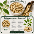 Polygonatum / Solomon's Seal (Polygonatum odoratum)