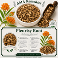 Pleurisy Root (Asclepias tuberosa)