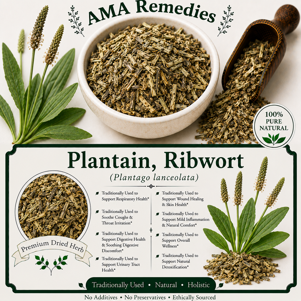 Plantain, Ribwort (Plantago lanceolata) — Dried Leaves