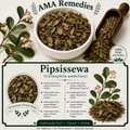 Pipsissewa (Chimaphila umbellata) — Dried Herb