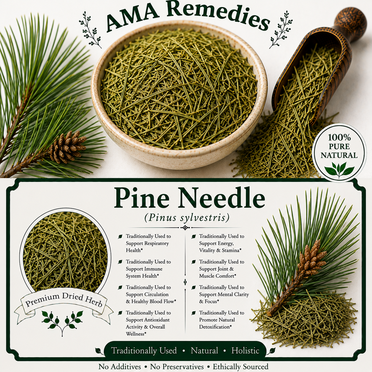 Pine Needle (Pinus sylvestris)