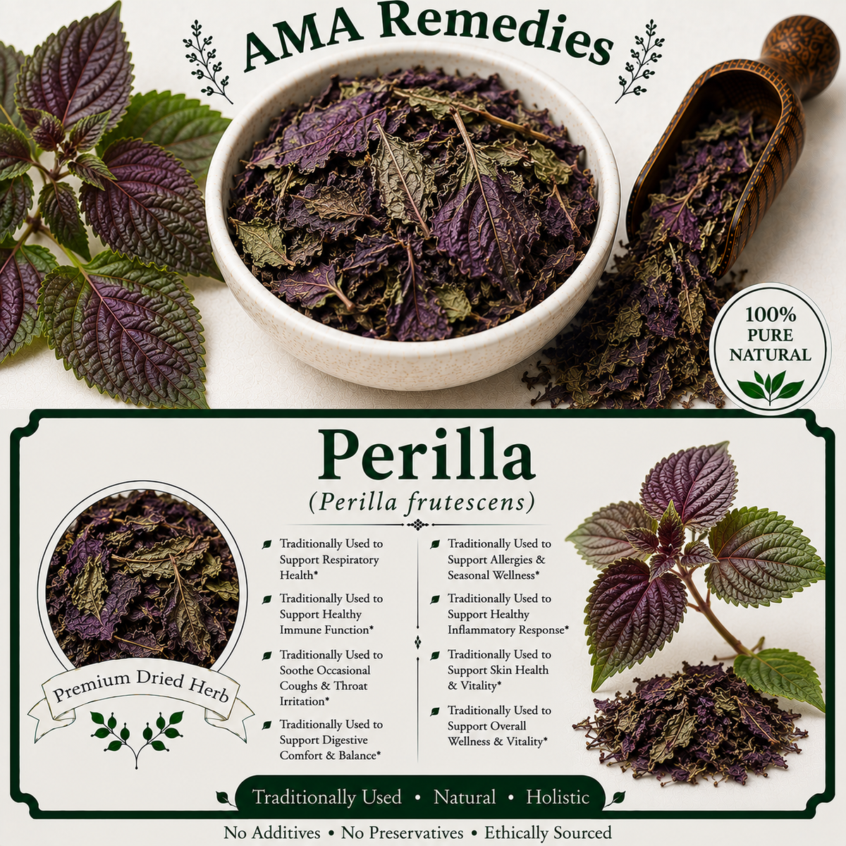 Perilla (Perilla frutescens) — Dried Leaves