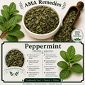 Peppermint (Mentha x piperita)