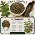 Pellitory (Anacyclus pyrethrum)
