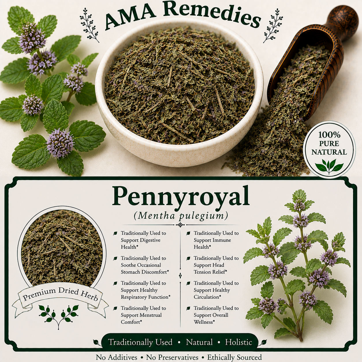 Pellitory (Anacyclus pyrethrum)