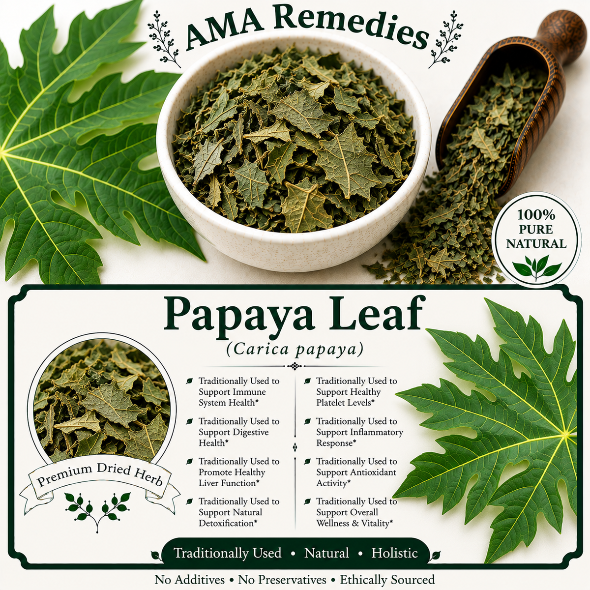 Papaya Leaf (Carica papaya)