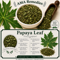 Papaya Leaf (Carica papaya)