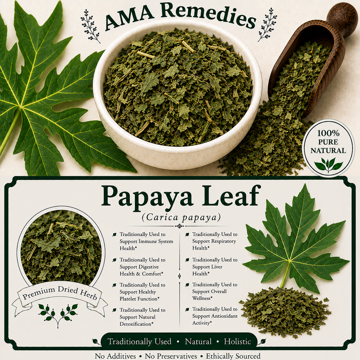 Papaya Leaf (Carica papaya)