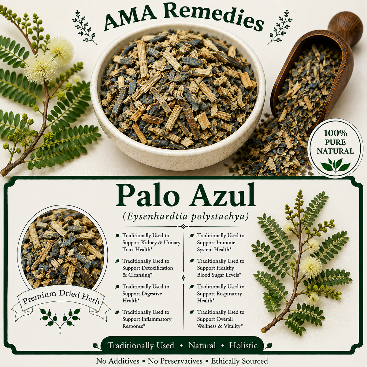 Palo Azul (Eysenhardtia polystachya)