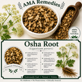 Oregon Grape Root (Mahonia aquifolium)