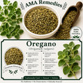 Oregano (Origanum vulgare)