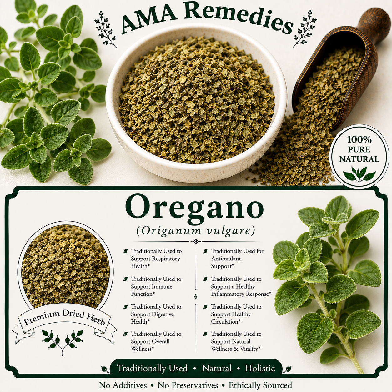 Oregano (Origanum vulgare)