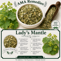 Lady's Mantle (Alchemilla vulgaris)