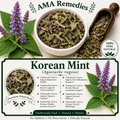 Korean Mint (Agastache rugosa)