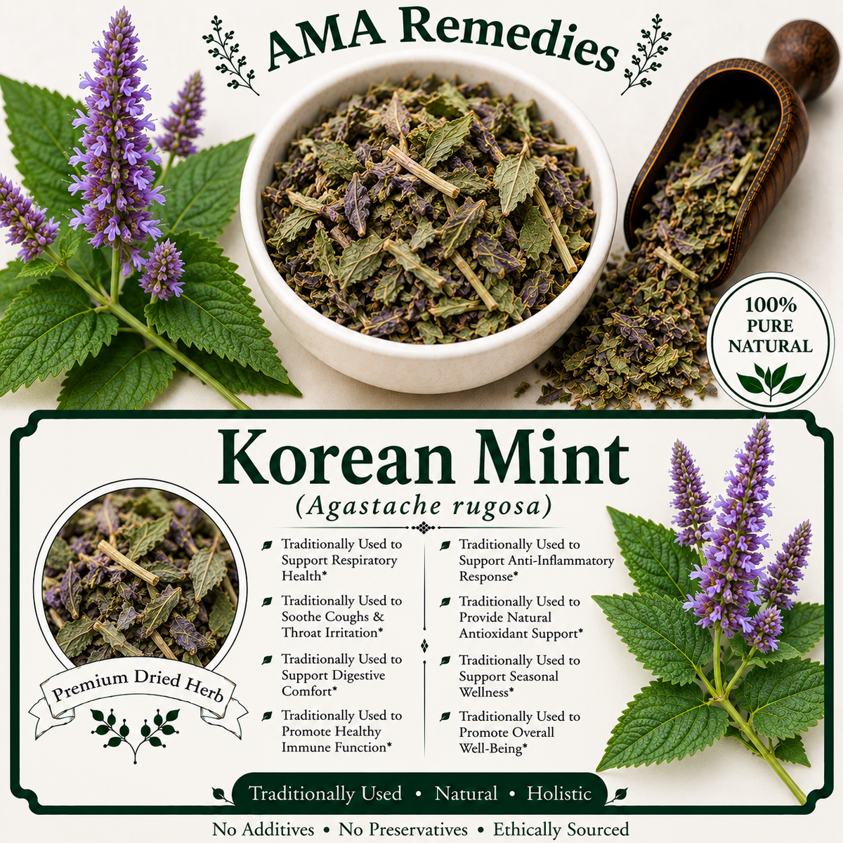 Korean Mint (Agastache rugosa)