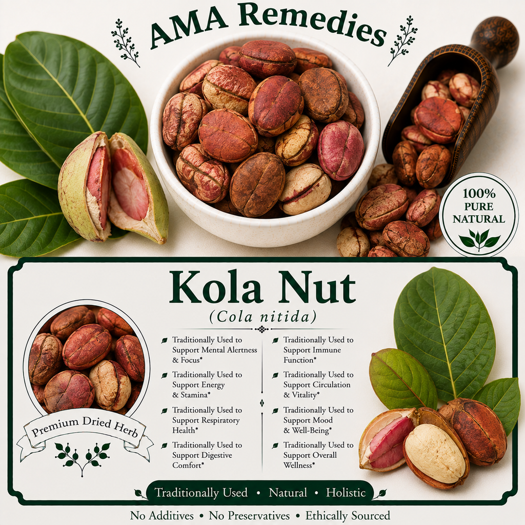 Kola Nut (Cola nitida) — Dried Seeds