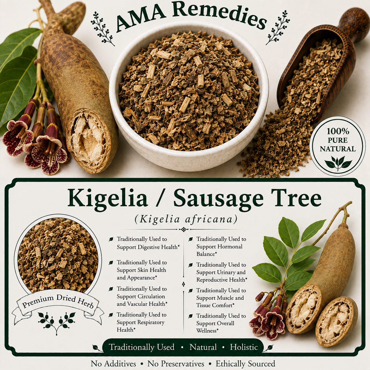 Kigelia / Sausage Tree (Kigelia africana)