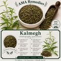 Kalmegh (Andrographis paniculata)