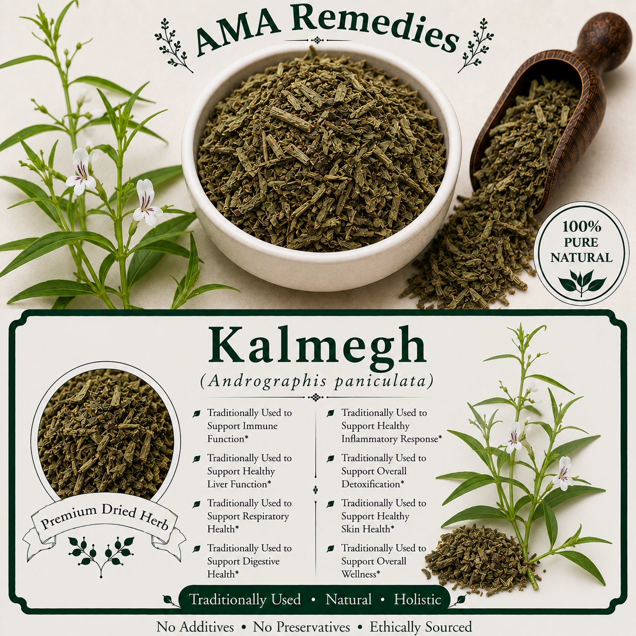 Kalmegh (Andrographis paniculata)