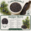 Juniper Berry (Juniperus communis)