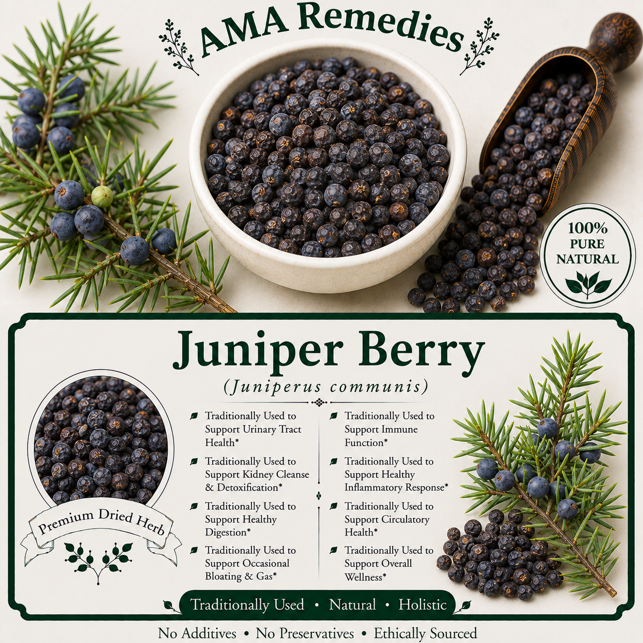 Juniper Berry (Juniperus communis)