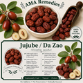 Jujube / Da Zao (Ziziphus jujuba)