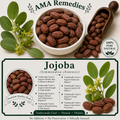 Jojoba (Simmondsia chinensis)